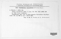 Coniothyrium concentricum image
